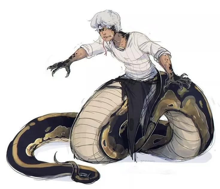 Shin thumbnail
