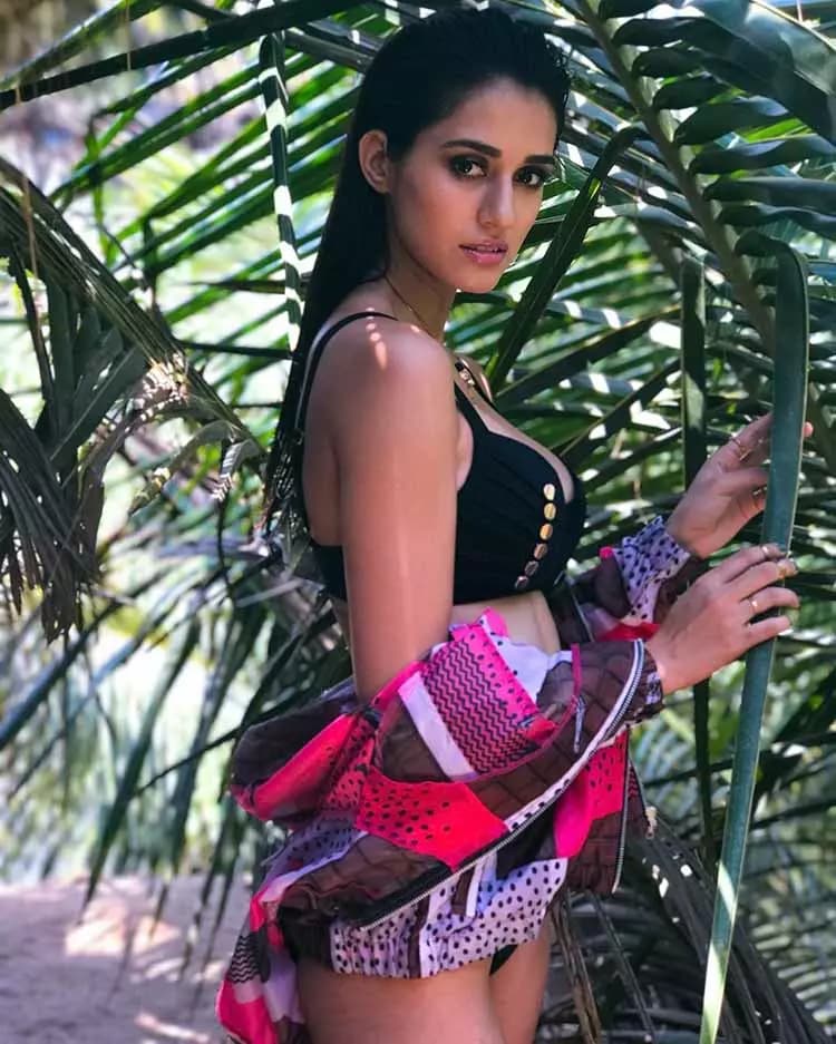 Disha patani thumbnail
