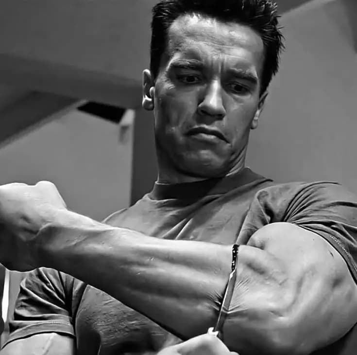Terminator thumbnail