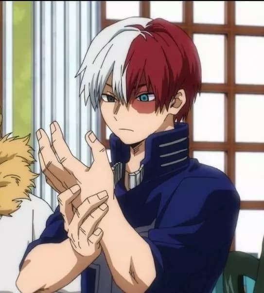 Shoto Todoroki thumbnail