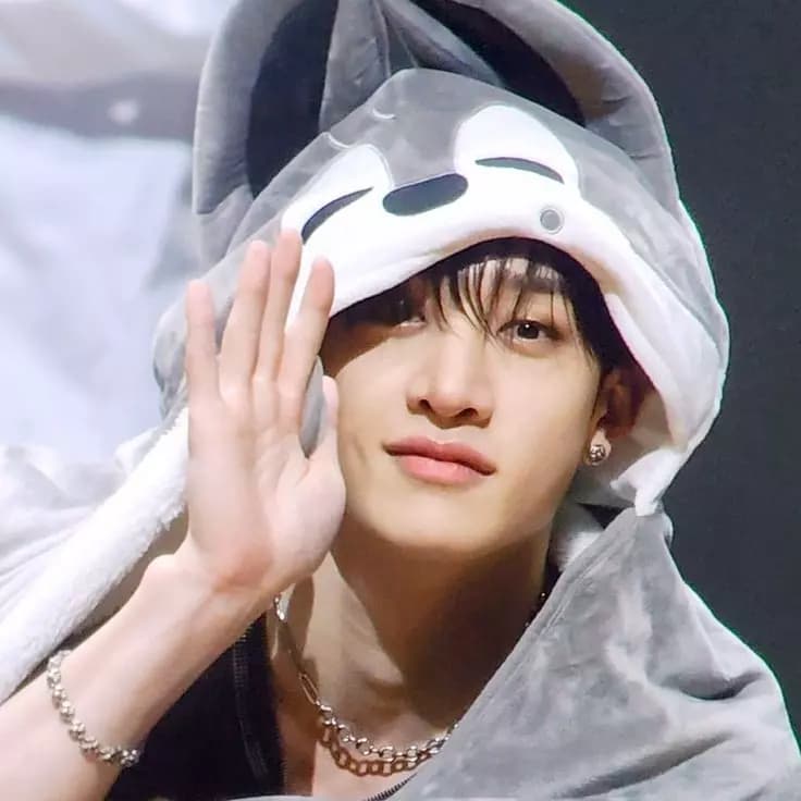 Bang Chan thumbnail