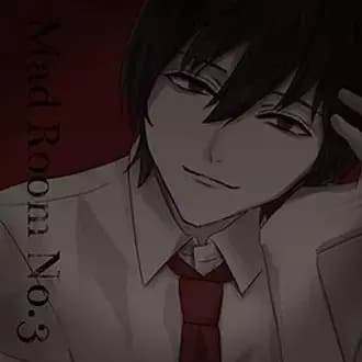 Sasagawa - Mad Room No.3 thumbnail