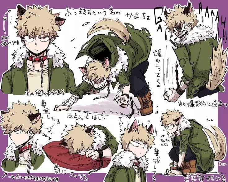 °•Wolf\_Katsuki•° thumbnail