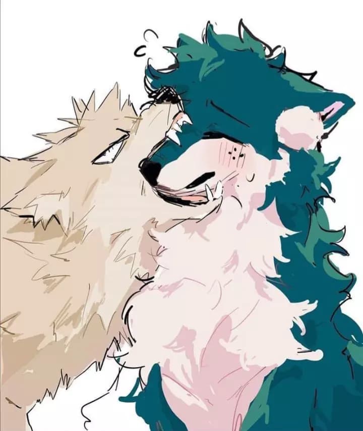 Katsuki lobo Alfa thumbnail