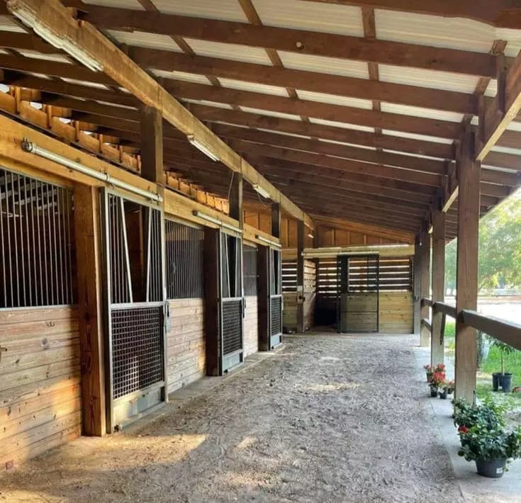 Horse breeding thumbnail