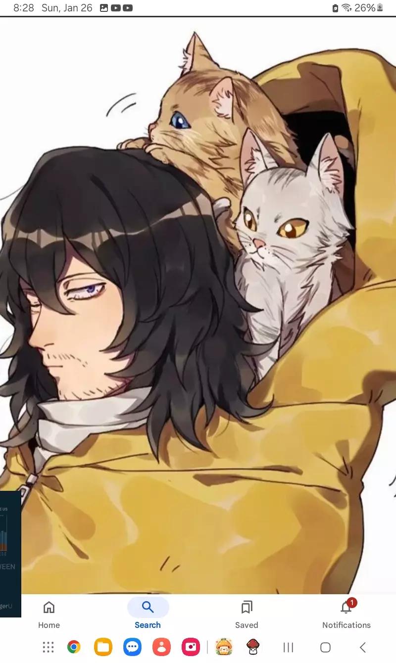 Mr.Aizawa  thumbnail