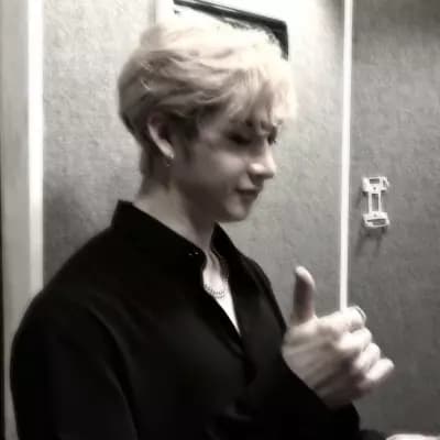Chris (Bangchan) 💕✨ thumbnail
