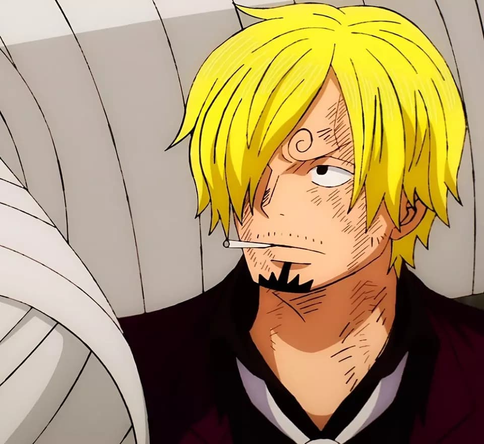 Sanji angust. AU thumbnail