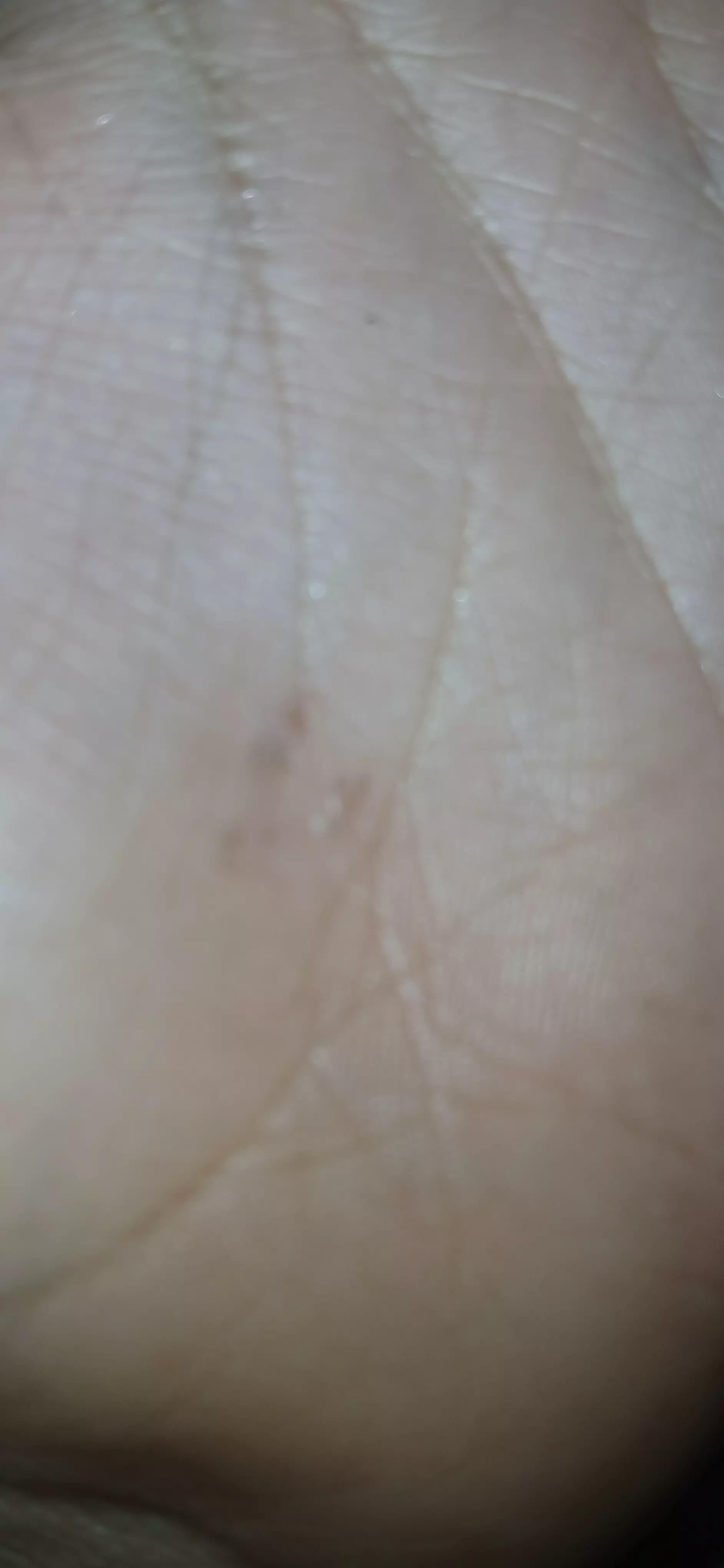 Babies thumbnail