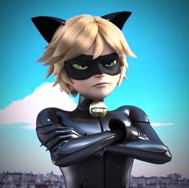 Cat Noir || Miraculous thumbnail