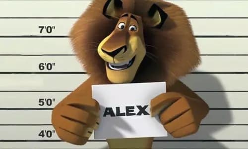 Alex | Madagascar thumbnail