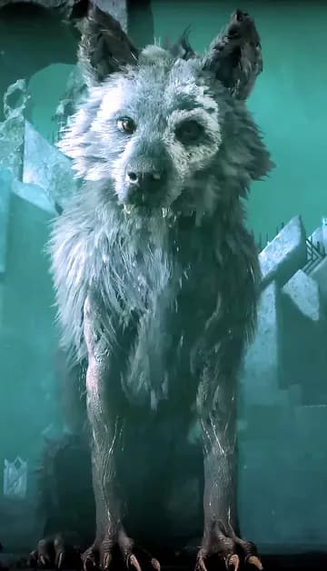 fenrir thumbnail
