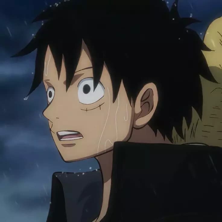 Monkey D Luffy  thumbnail
