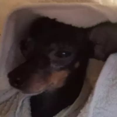^^Lucy^^ thumbnail