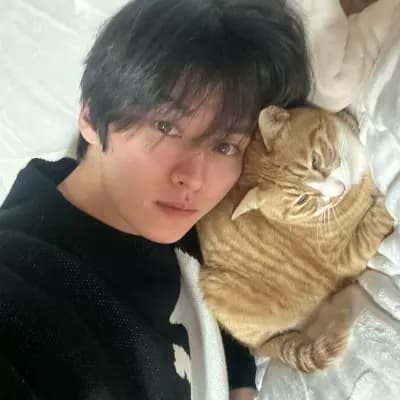 Lee Know thumbnail