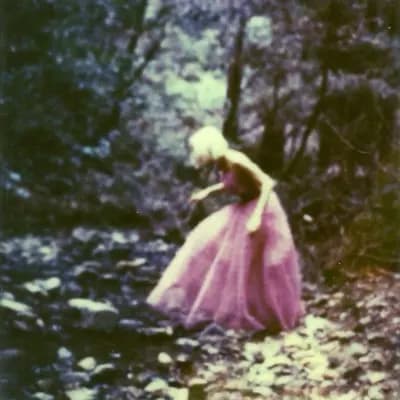 Magic forest thumbnail