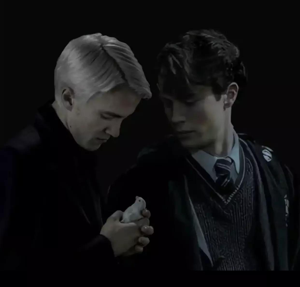 Draco Malfoy y Tom Riddle thumbnail