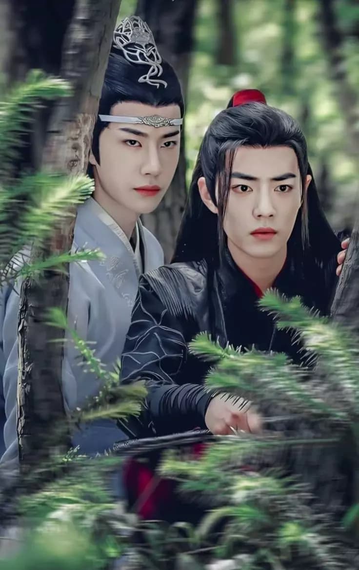 lan zhan x wei ying thumbnail