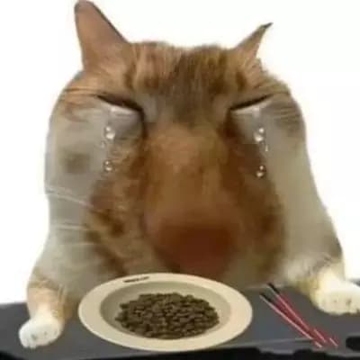 Mèo Vàng thumbnail