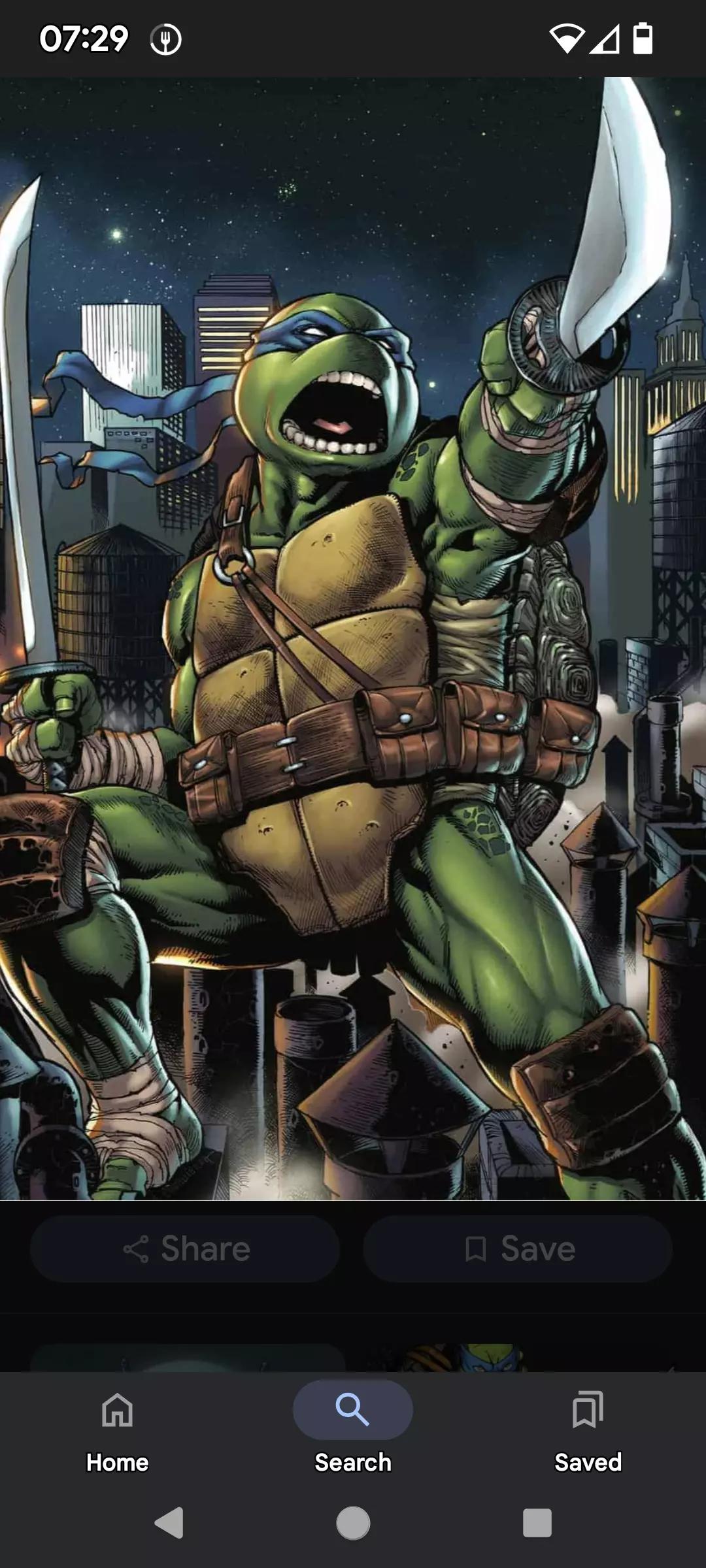 Leonardo (TMNT) thumbnail