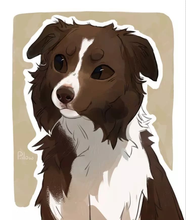 Dog Luke thumbnail