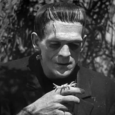Frankenstein (1931) thumbnail