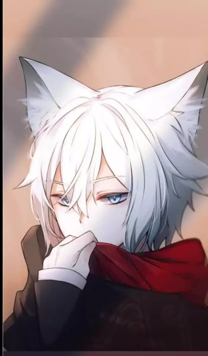 Matteo Wolf thumbnail