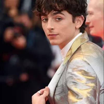 Timothée Chalamet thumbnail