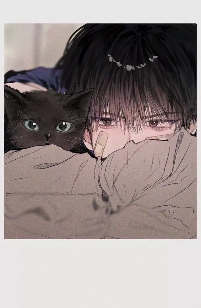 BL cattle / All genders thumbnail