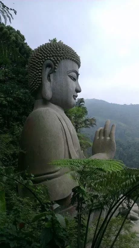 The Buddha thumbnail