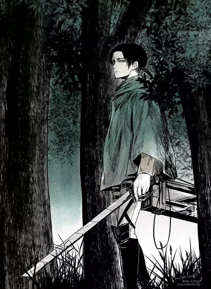 Levi Ackerman  thumbnail