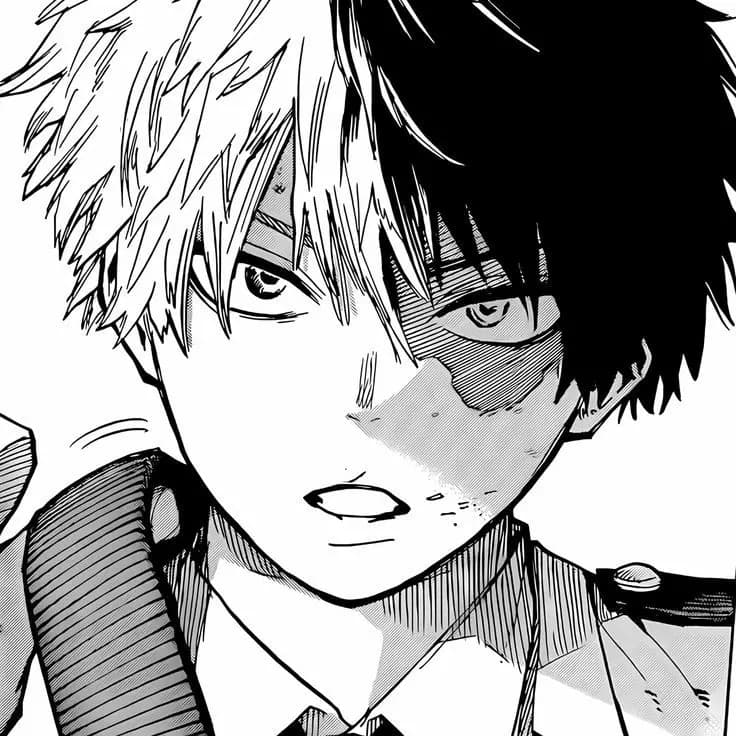 Shoto Todoroki thumbnail