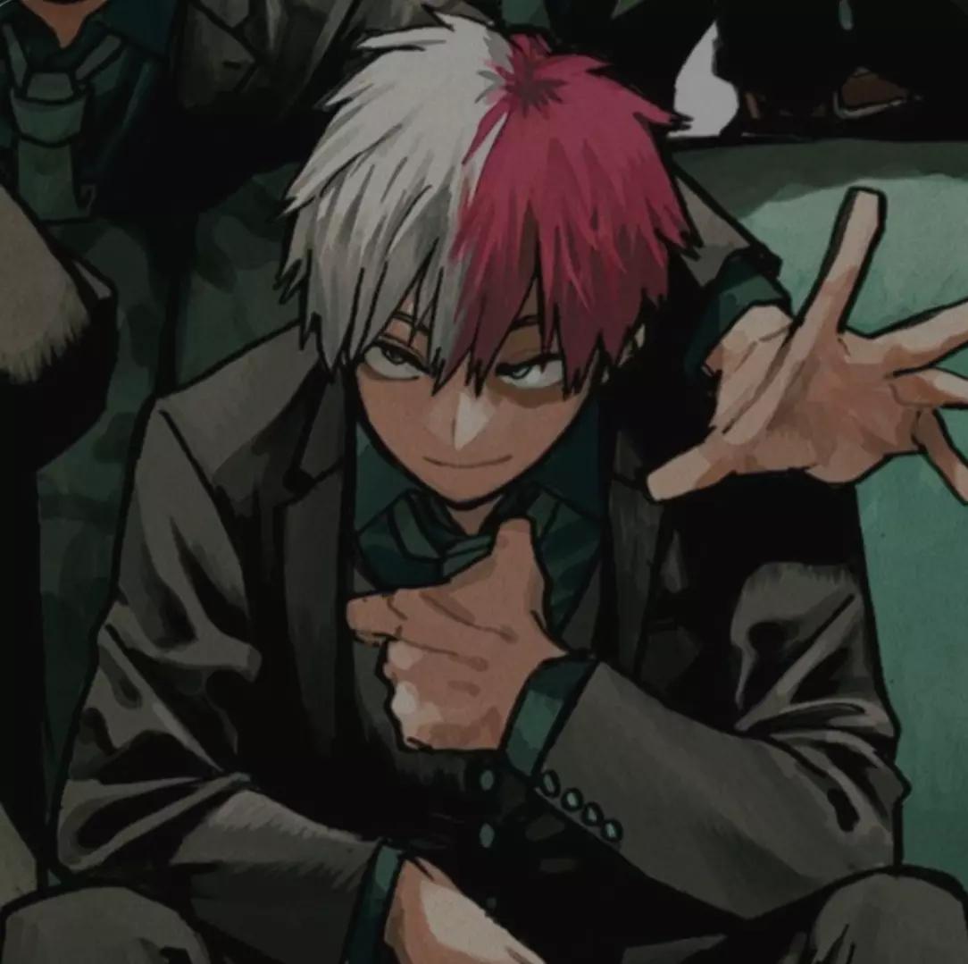 Shoto Todoroki  thumbnail
