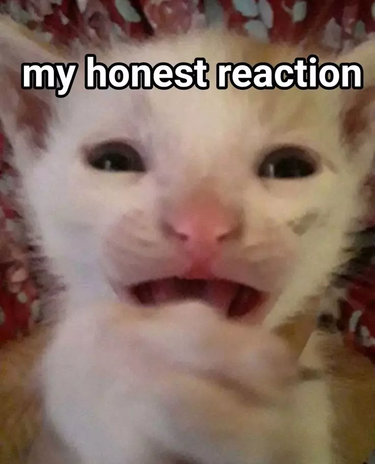 Janet thumbnail