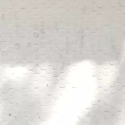 Peter thumbnail