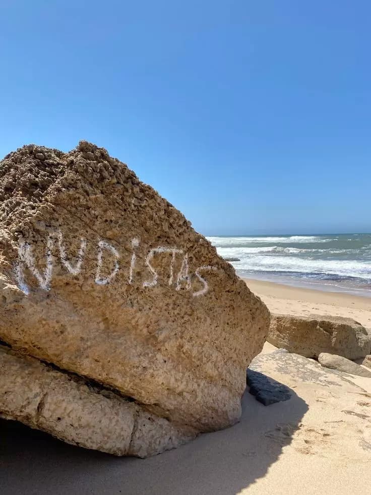 Furry Gay Nudist Beach thumbnail