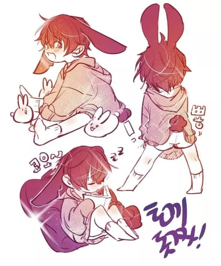 Milo/Niño Rabbit. thumbnail