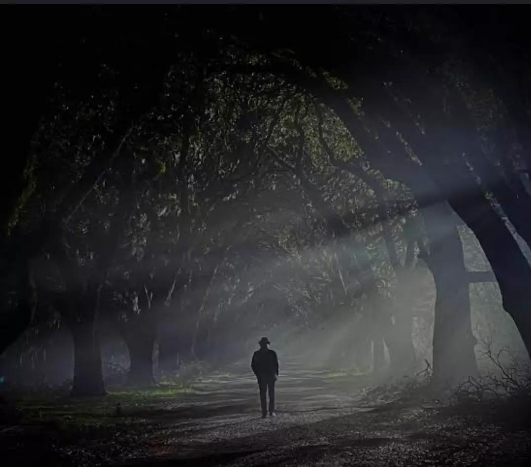 Ghost in the Forest thumbnail