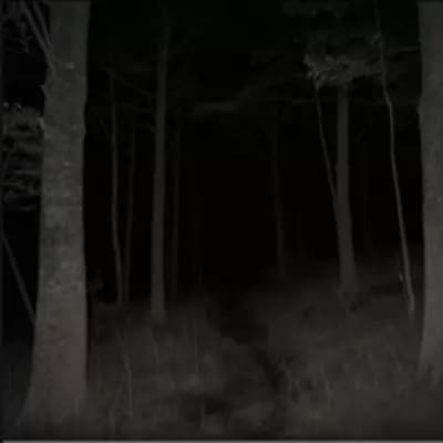 Creepypasta࣪ ִֶָ☾. thumbnail