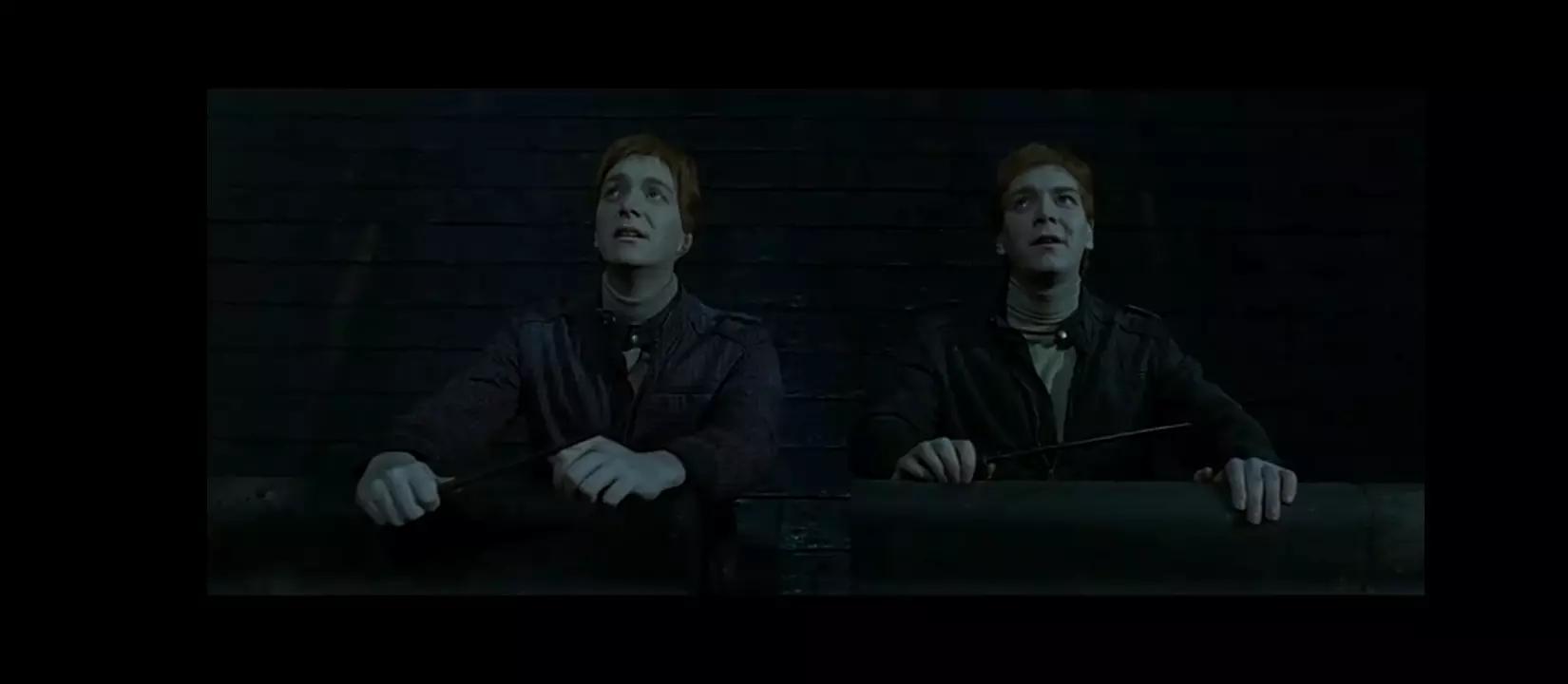 Los gemelos weasley  thumbnail