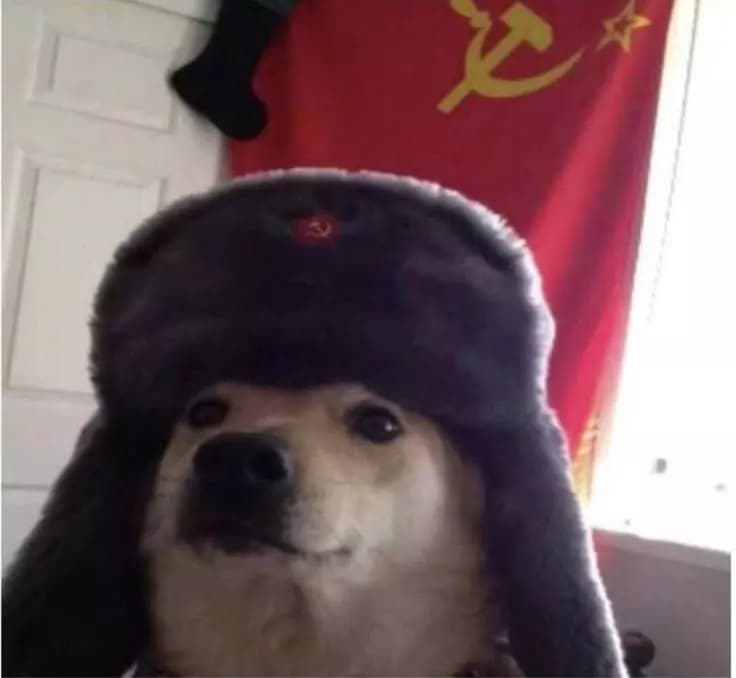 Soviet Dog thumbnail