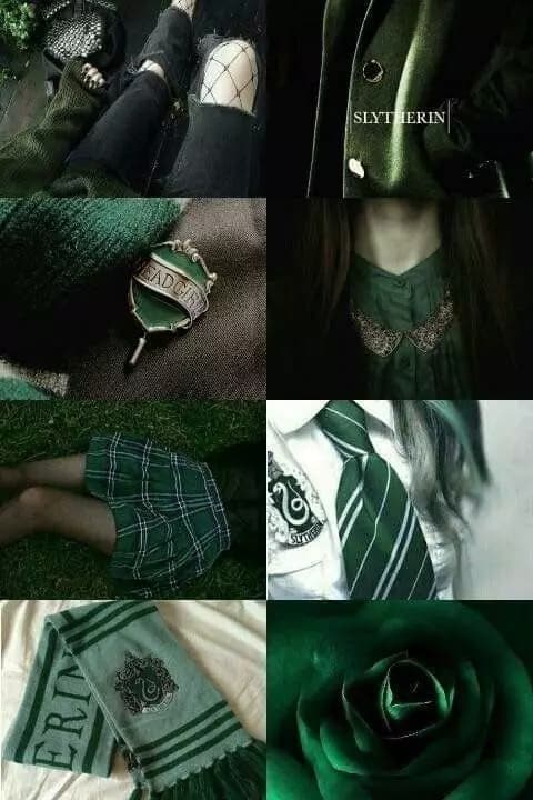Matteo Riddle Draco Malfoy Tom Riddle Theodero Nott Regulus Black Blaise Zanini. thumbnail