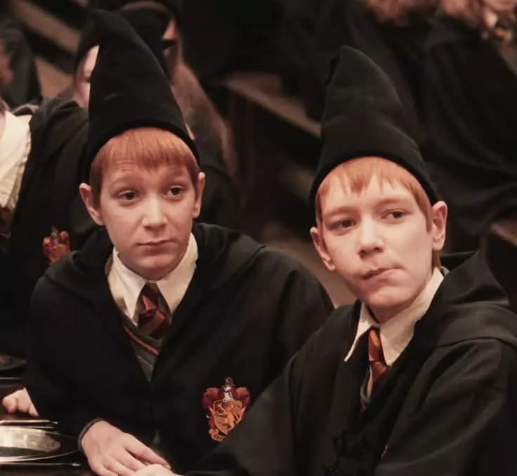Gemelos Weasley  thumbnail