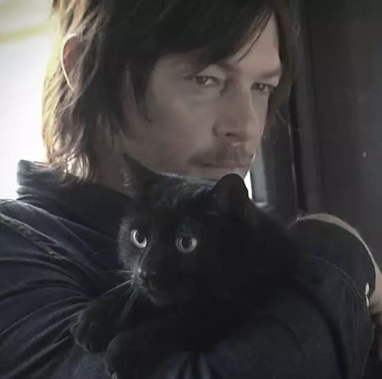 Daryl Dixon. thumbnail