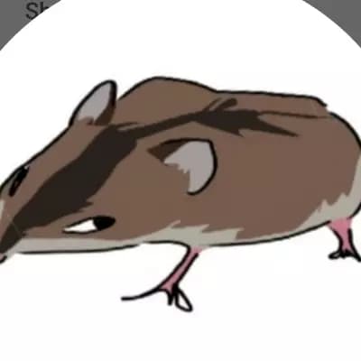 Hiro thumbnail