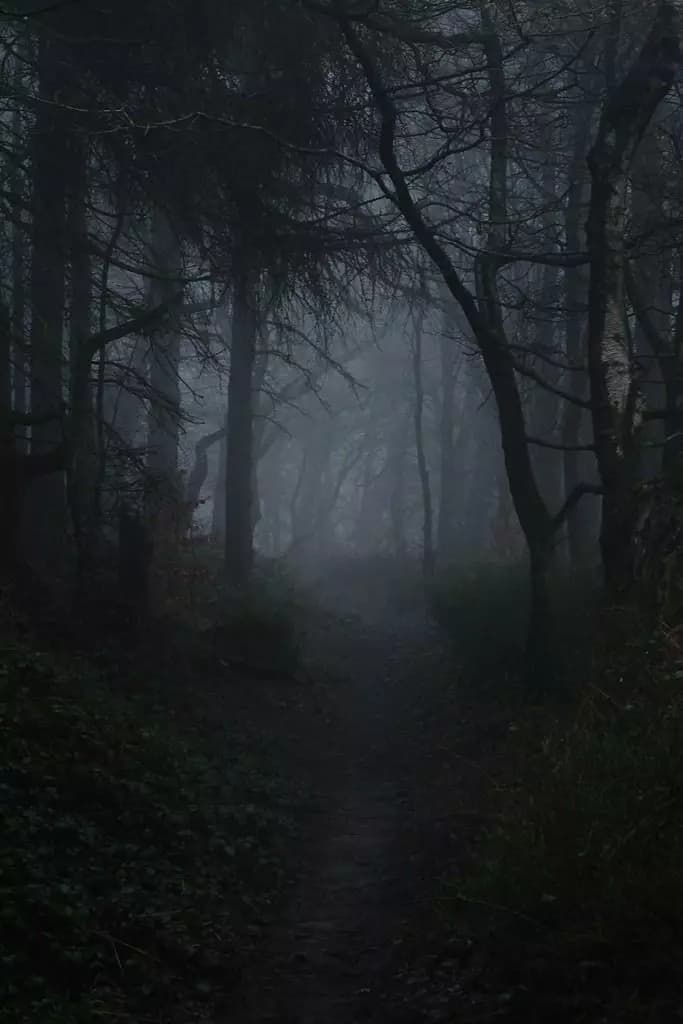 Unknown World thumbnail