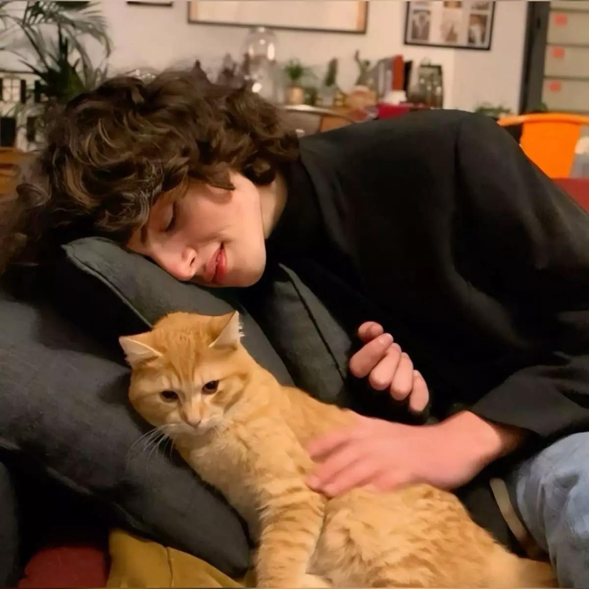 Finn Wolfhard thumbnail