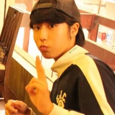 Han Jisung  thumbnail
