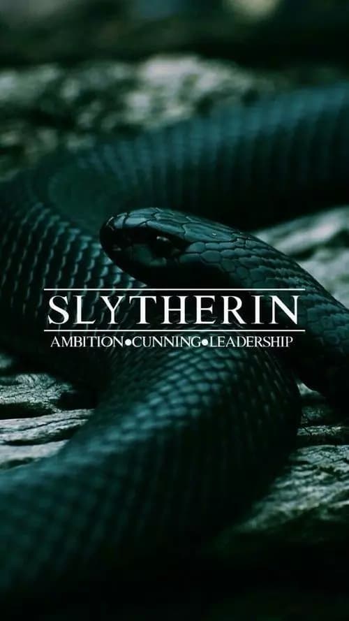 Slytherin boys  thumbnail