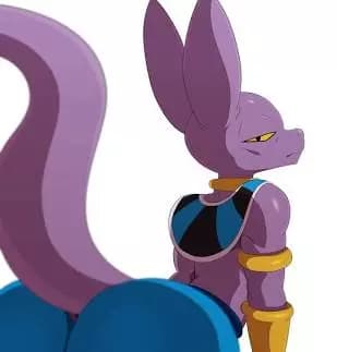 Beerus thumbnail